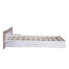 Queen Size Platform Bed with Headboard, Drawers, Shelves, USB Ports and Sockets - White