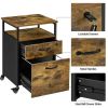 Industrial Mobile Vintage File Cabinet with 2 Drawers - Rustic Brown