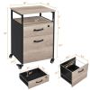 Industrial Rolling File Cabinet with 2 Drawers, Rustic Gray - Rustic Gray