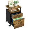Industrial Mobile Vintage File Cabinet with 2 Drawers - Rustic Brown