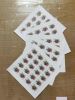 First-Class Rate 2020 U.S. STAMPS Contemporary Boutonniere 100pcs FREE SHIPPING - default